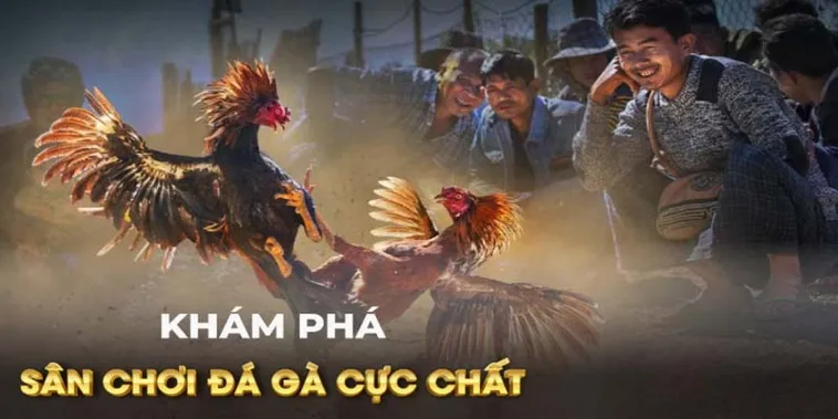 Tham Gia Đá Gà GA28 789Bet Ngay Để Nhận Thưởng Khủng