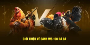 Trải Nghiệm Đá Gà WS168 789Bet Ngay Để Thắng Thưởng Lớn