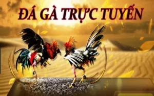 Tham Gia Đá Gà 3D 789Bet Ngay Hôm Nay Để Trúng Lớn
